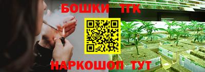 прущие грибы Гусев