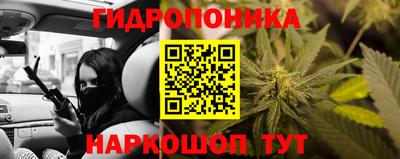 гидропоника Гусь-Хрустальный