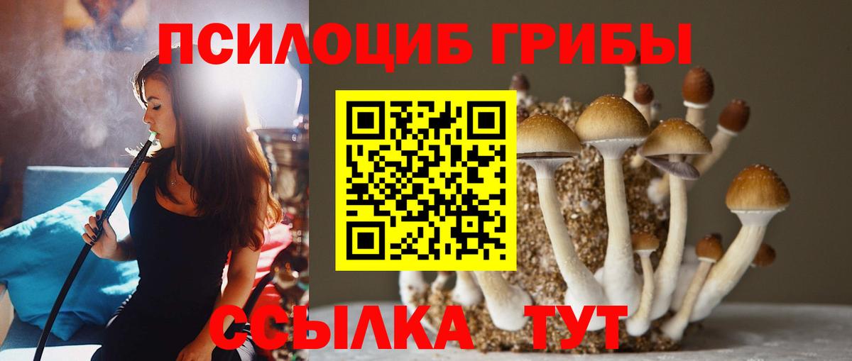 Галлюциногенные грибы GOLDEN TEACHER Люберцы